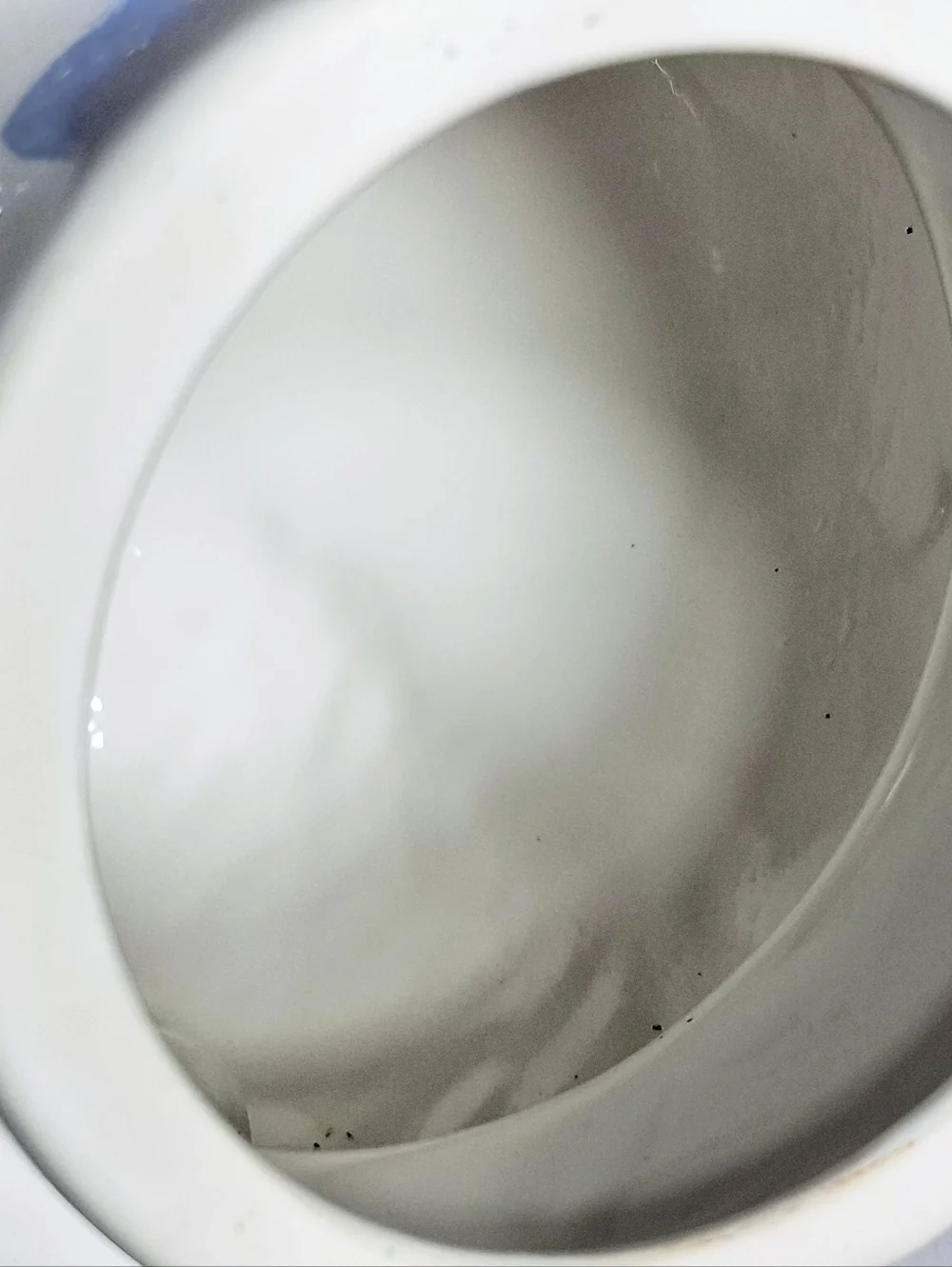 Cooks Club Blizzard this vintage 